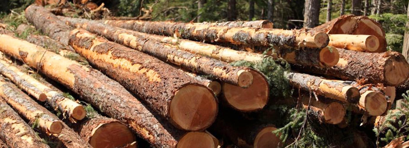 Installation of two biomass power stations in the south of the Provence region