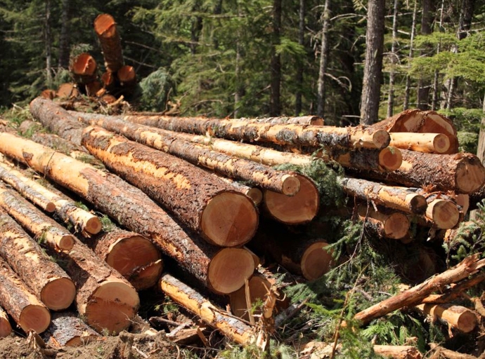 Installation of two biomass power stations in the south of the Provence region