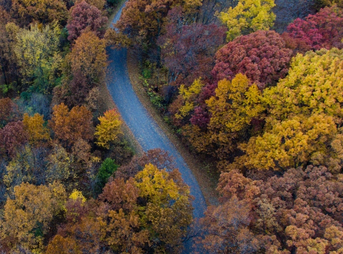  A proposal for a better Forest Education in Mediterranean Areas