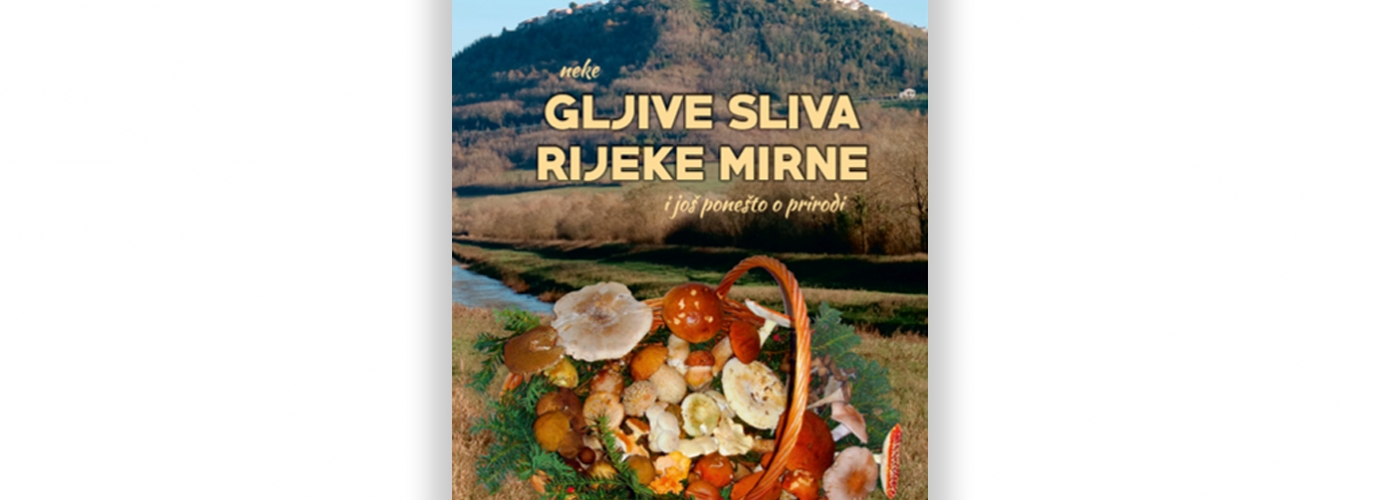 "100 mushrooms from the river Mirna basin"