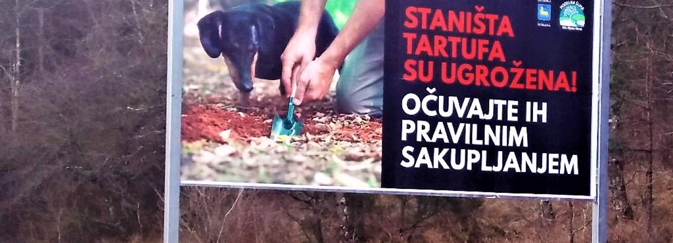 “Truffle habitats are endangered! Keep them properly harvested!" 