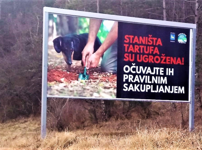 “Truffle habitats are endangered! Keep them properly harvested!" 