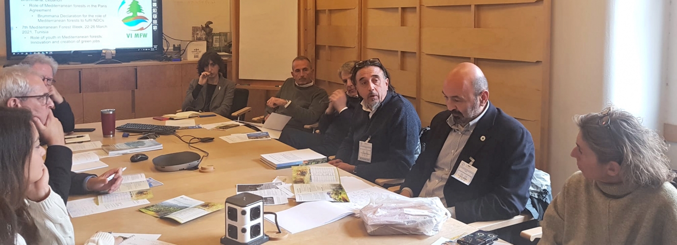 The Secretariat of the Mediterranean Model Forest Network is renewing and relaunching its collaboration with FAO