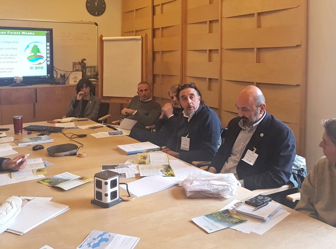 The Secretariat of the Mediterranean Model Forest Network is renewing and relaunching its collaboration with FAO