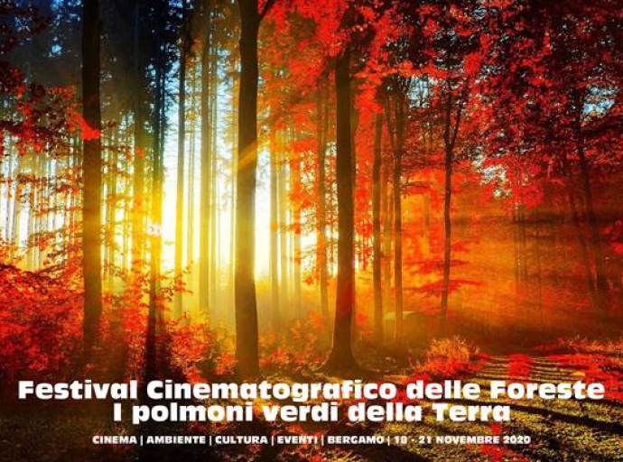 3°Edition of Forest Film Festival - The driving force of the Earth