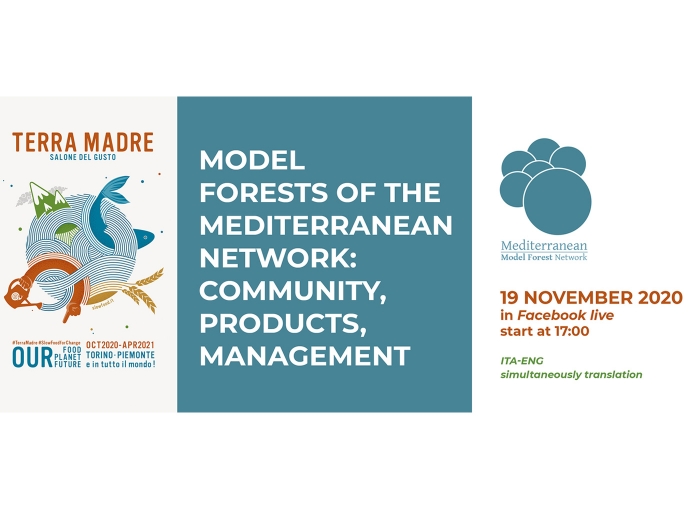 Webinar - The Model Forest of Mediterranean Network: community, product, management 