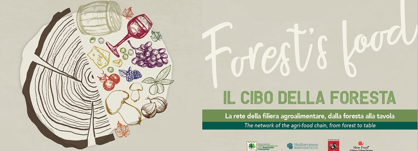 Forest Food: the network of the agri-food chain, from forest to table