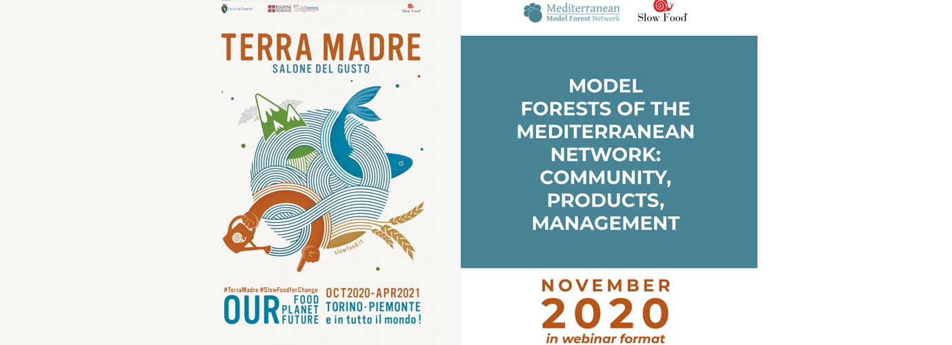 The Model Forest of Mediterranean Network webinar at “Terra Madre”