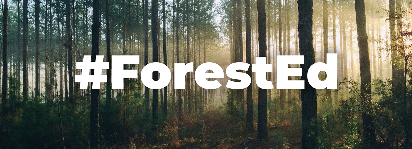 ForestEd: Education for sustainable development in the Mediterranean Model Forests