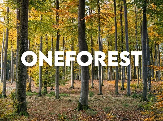 The OneForest project was funded!