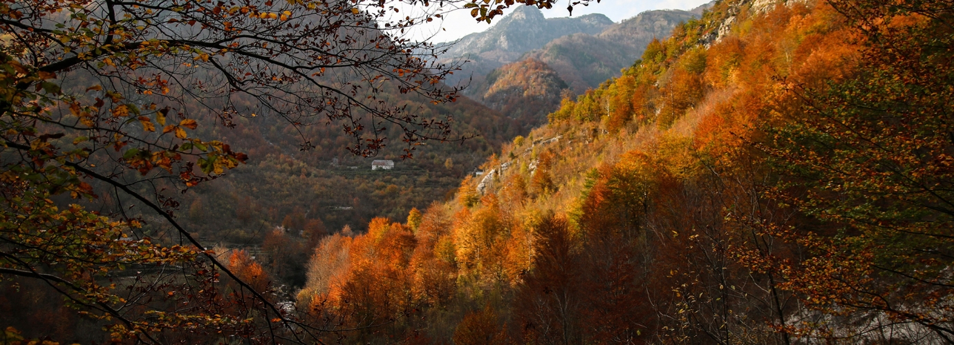 Towards a strengthened co-management of the environmental heritage: an exchange of good practices between the Montagne Fiorentine Model Forest and southern Albania