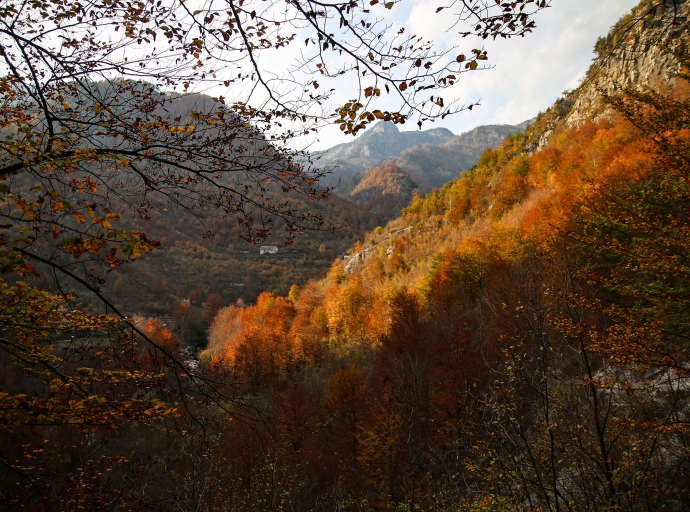 Towards a strengthened co-management of the environmental heritage: an exchange of good practices between the Montagne Fiorentine Model Forest and southern Albania