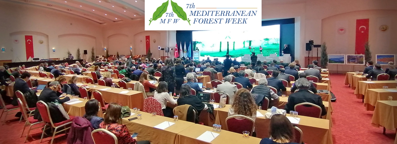 In Antalya to discuss the future of Mediterranean forests