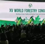 Building a green, healthy and resilient. XV World Forestry Congress, Seoul