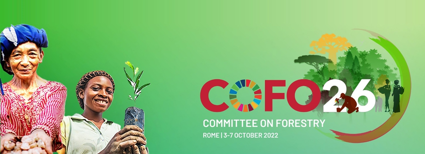 COFO26: Special event “Biodiversity mainstreaming in forestry” - 6th October 2022