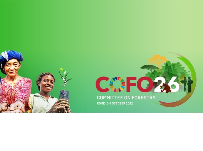 COFO26: Special event “Biodiversity mainstreaming in forestry” - 6th October 2022