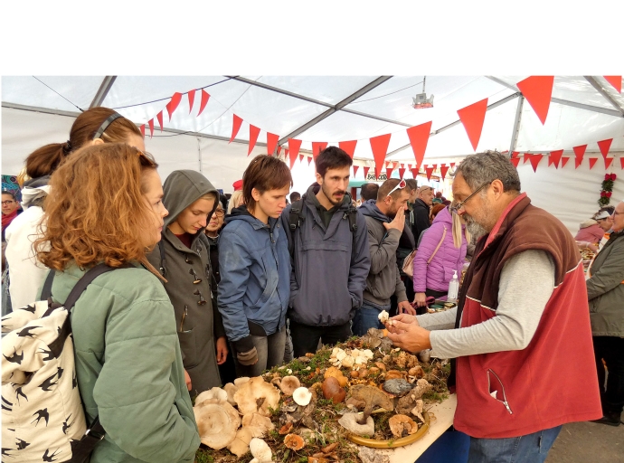 The "Festival of Forests and Forest Fruits" it was a great success!