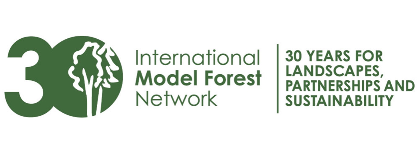 What do you mean by Model Forest?