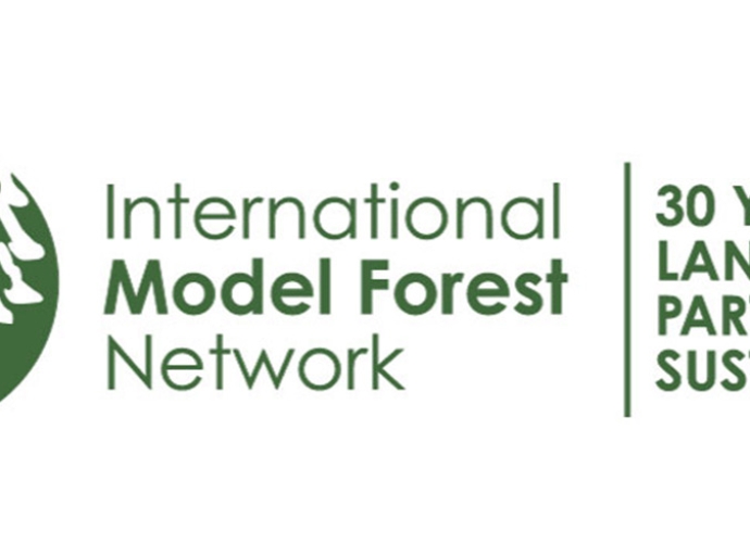 What do you mean by Model Forest?