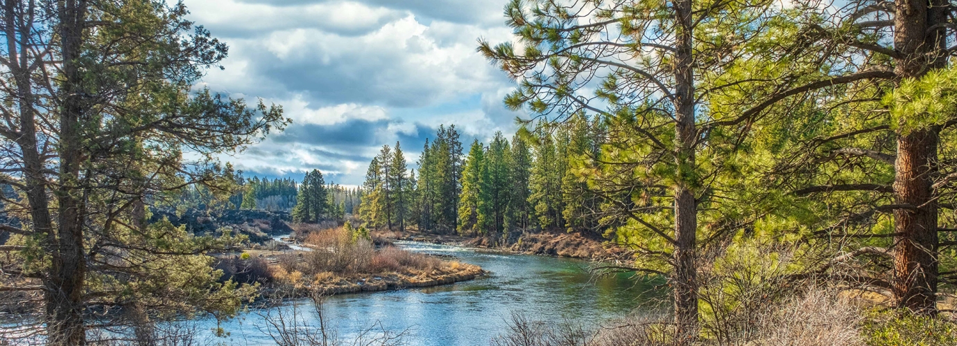 IMFN Climate: Scaling-up Nature-based Leadership Platforms for Climate Resilience, Restoring Degraded Forest Landscapes and Biodiversity