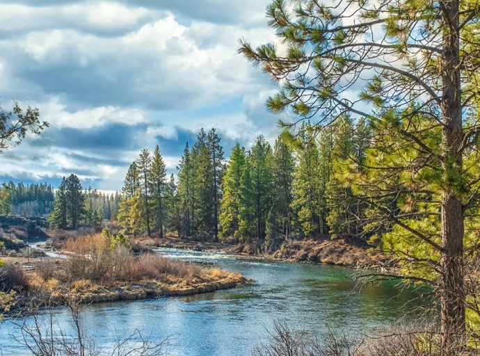 IMFN Climate: Scaling-up Nature-based Leadership Platforms for Climate Resilience, Restoring Degraded Forest Landscapes and Biodiversity