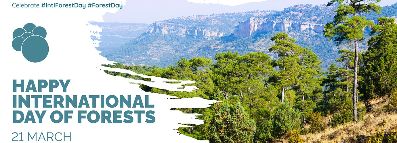 The Mediterranean Model Forests celebrates the International Day of Forests