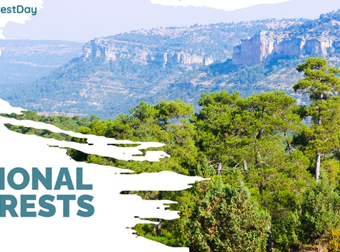 The Mediterranean Model Forests celebrates the International Day of Forests