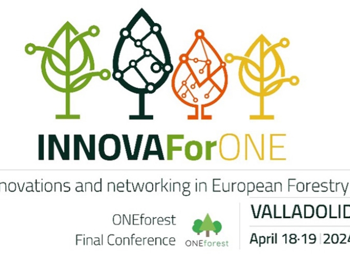 ONEforest Final Conference Convenes EU Forestry Networks in a Milestone Event
