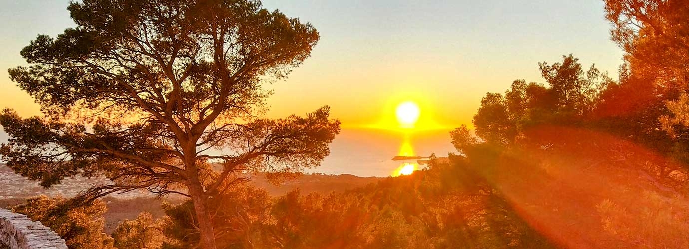 Provence Model Forest changes leadership!