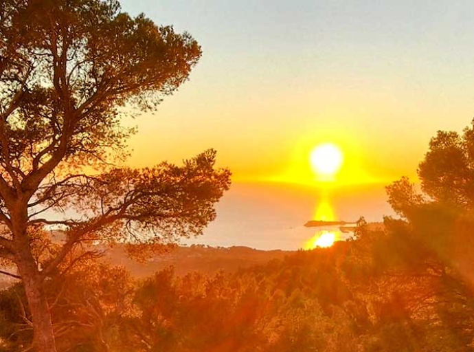 Provence Model Forest changes leadership!