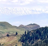 The Model Forests of Mediterranean - Treasures to discover