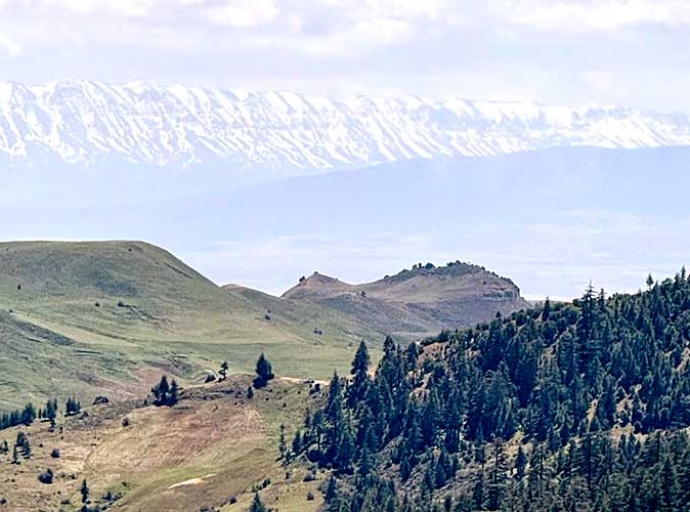 The Model Forests of Mediterranean - Treasures to discover