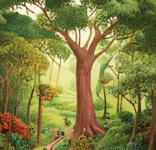 Forest Knowledge Boxes - All About Forests in One Place