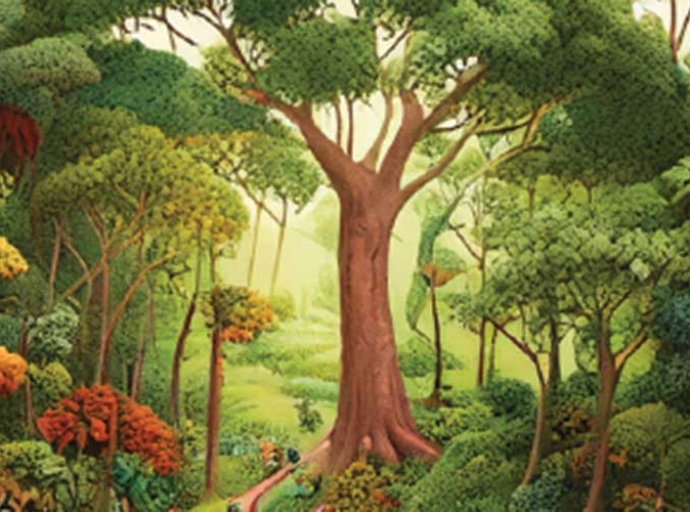 Forest Knowledge Boxes - All About Forests in One Place
