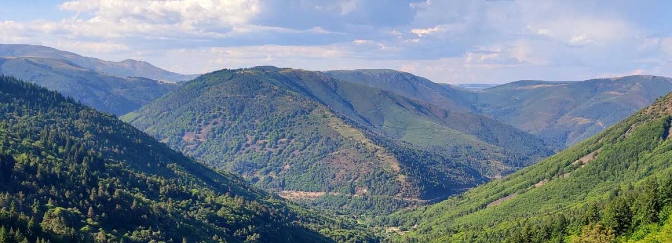 Portugal join the MMFN with a new Initiative led by The Federação Nacional dos Baldios (BALADI)