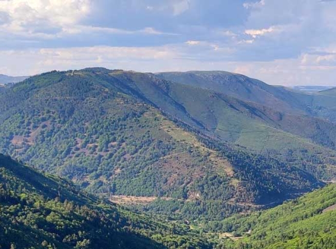 Portugal join the MMFN with a new Initiative led by The Federação Nacional dos Baldios (BALADI)