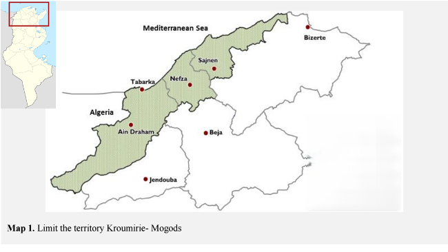 mappa tunisia