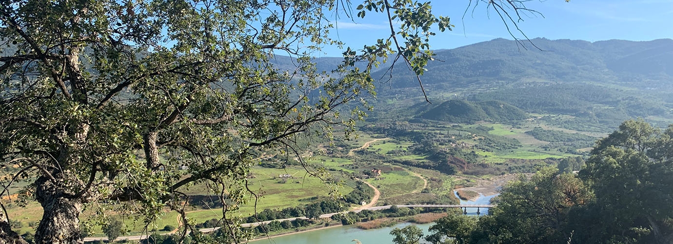 Tunisia joins the Mediterranean Model Forest Network with new initiative