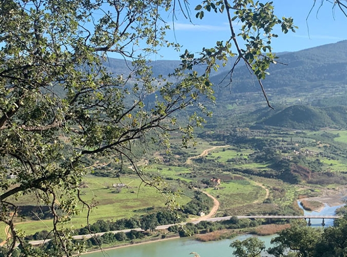 Tunisia joins the Mediterranean Model Forest Network with new initiative