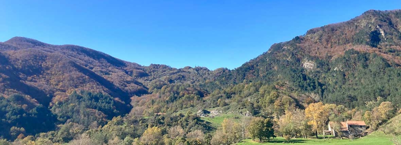 Model Forests become a governance tool in Tuscany’s new forestry law