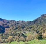 Model Forests become a governance tool in Tuscany’s new forestry law