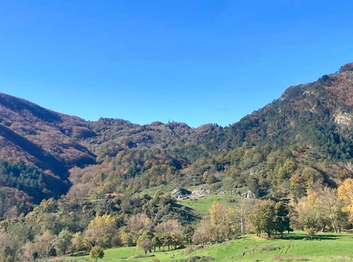 Model Forests become a governance tool in Tuscany’s new forestry law