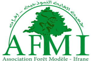 Ifrane Model Forest