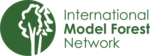 International Model Forest Network