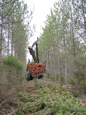 Installation of two biomass 1