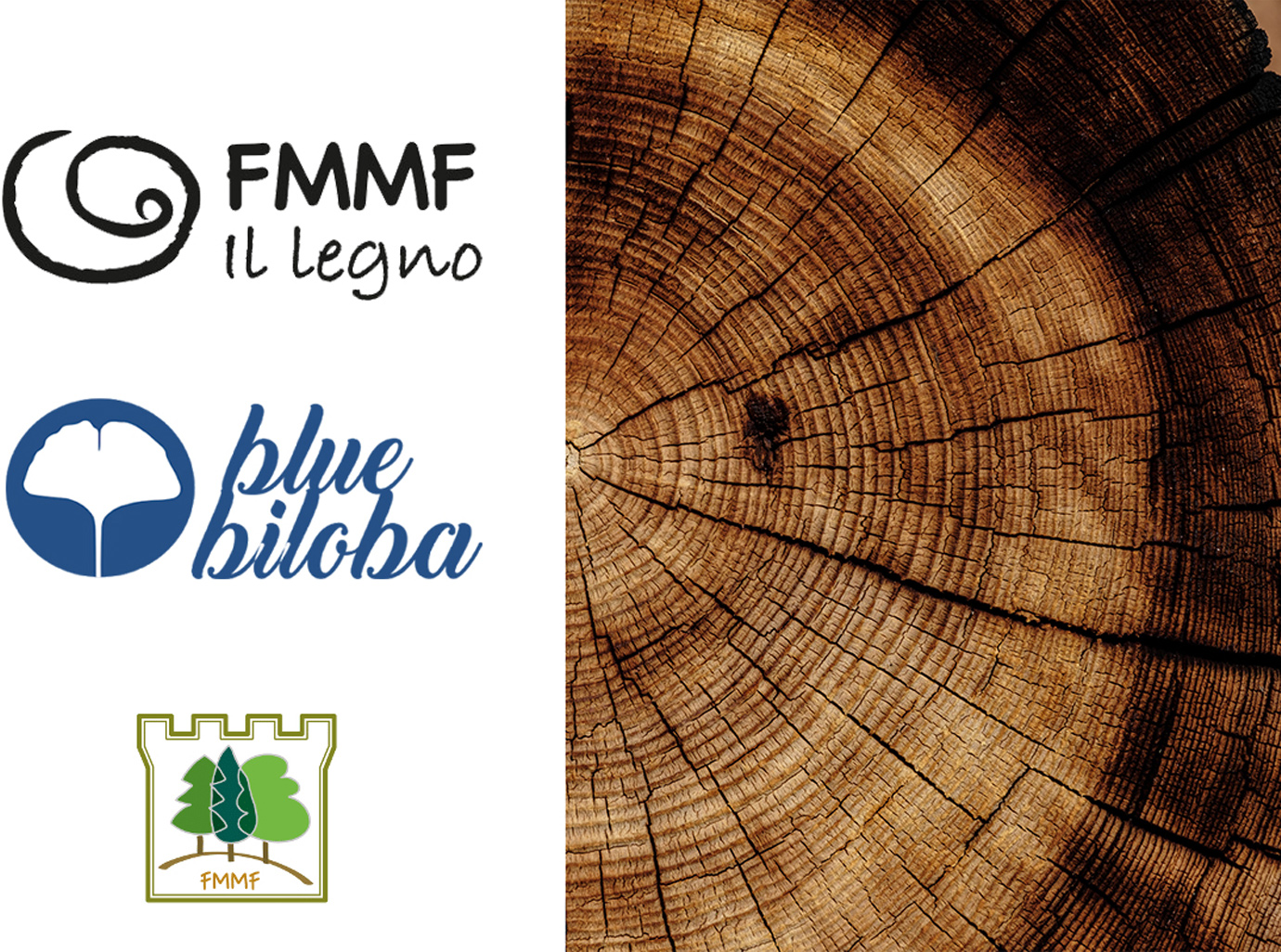 New managers of the “FMMF il legno” brand