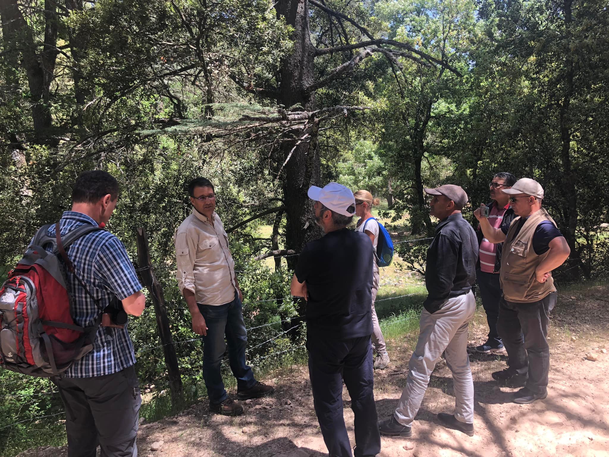 Exchange visit on the restoration of forests - 10