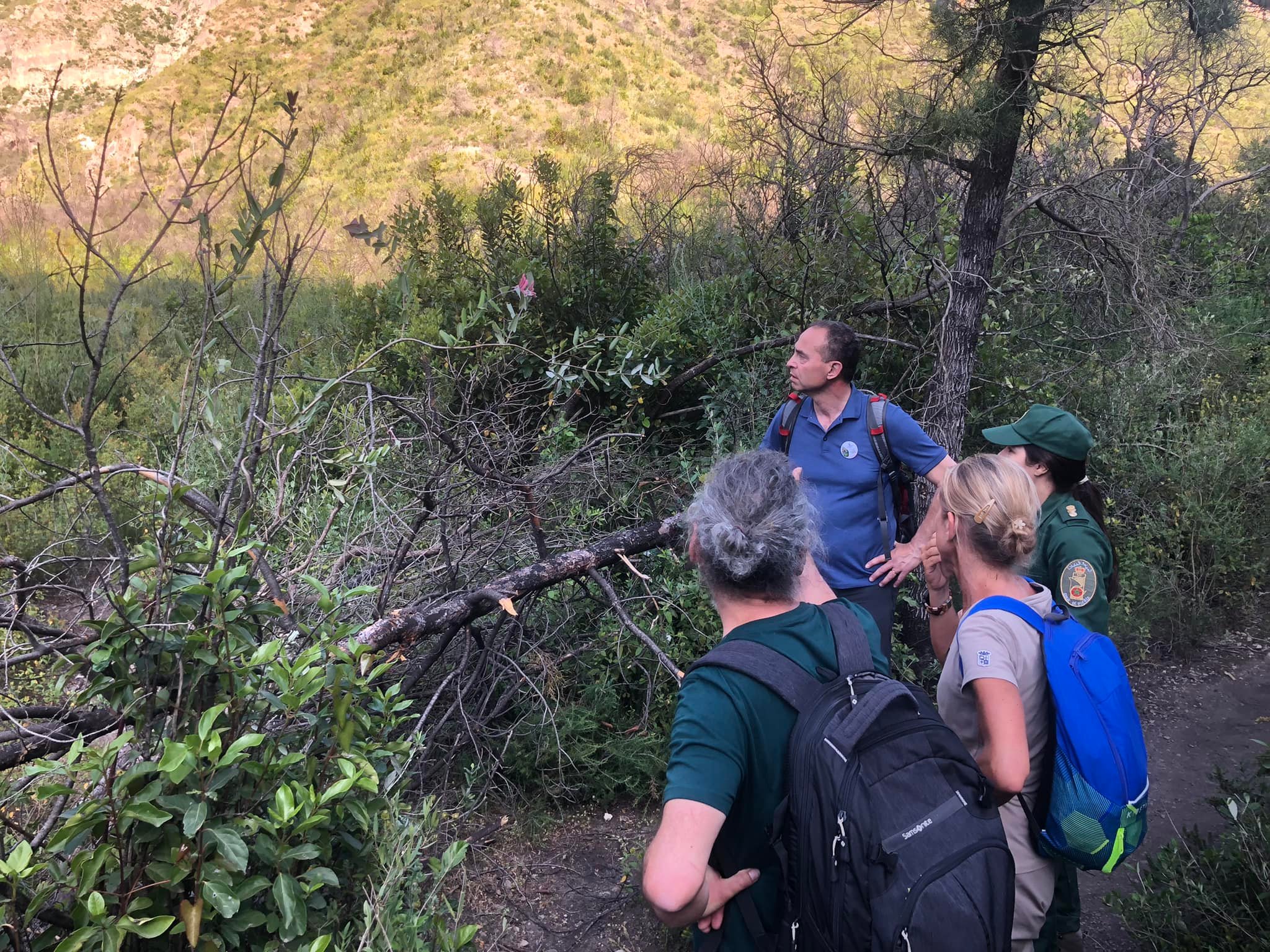 Exchange visit on the restoration of forests - 2