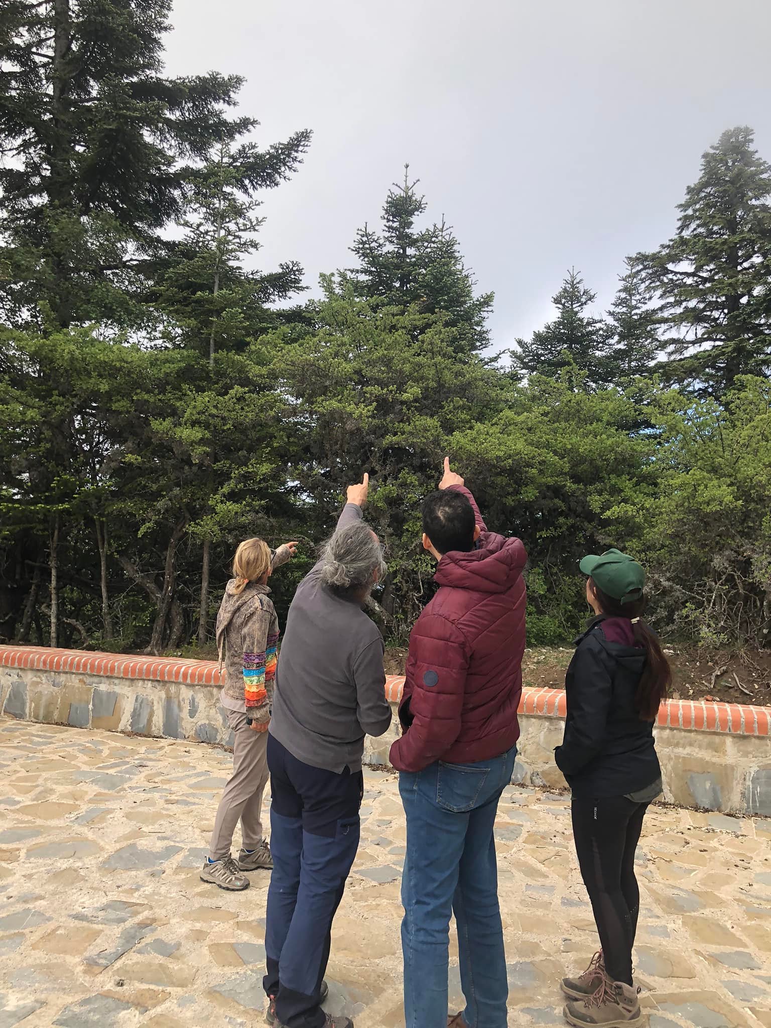 Exchange visit on the restoration of forests - 5