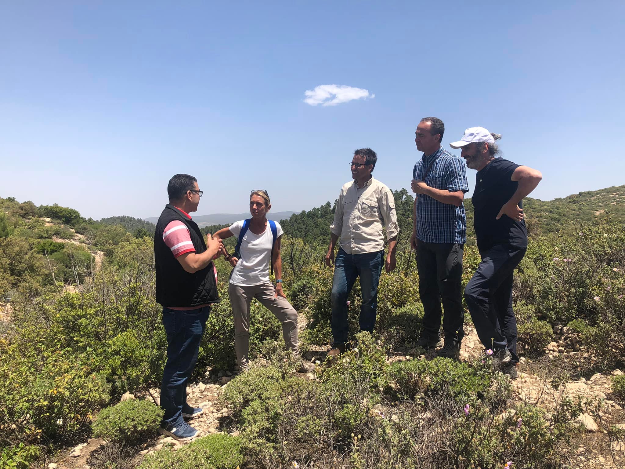Exchange visit on the restoration of forests - 8